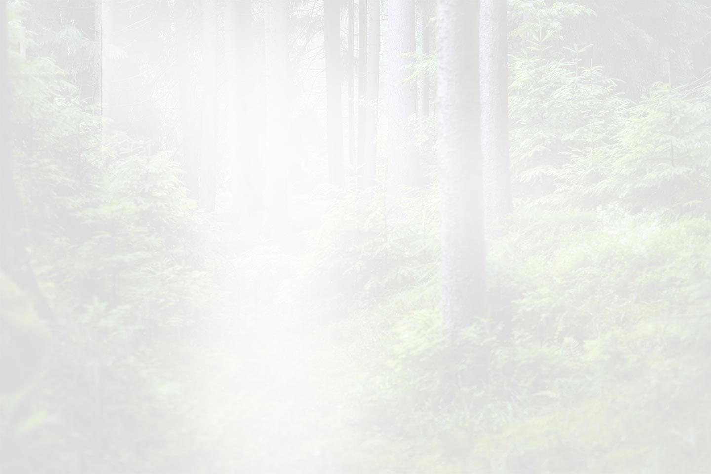 เจ้อเจียง QianDuoMu อัจฉริยะตกแต่ง Co., Ltd.